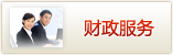财政服务